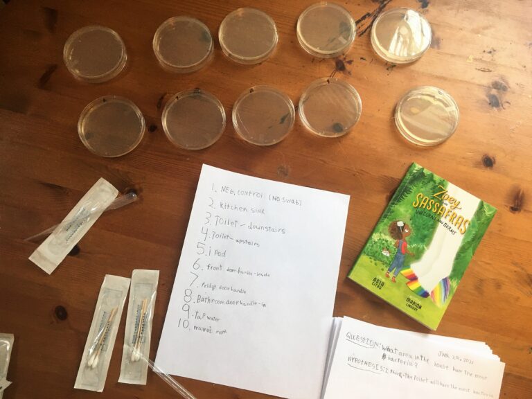 growing bacteria experiment hypothesis